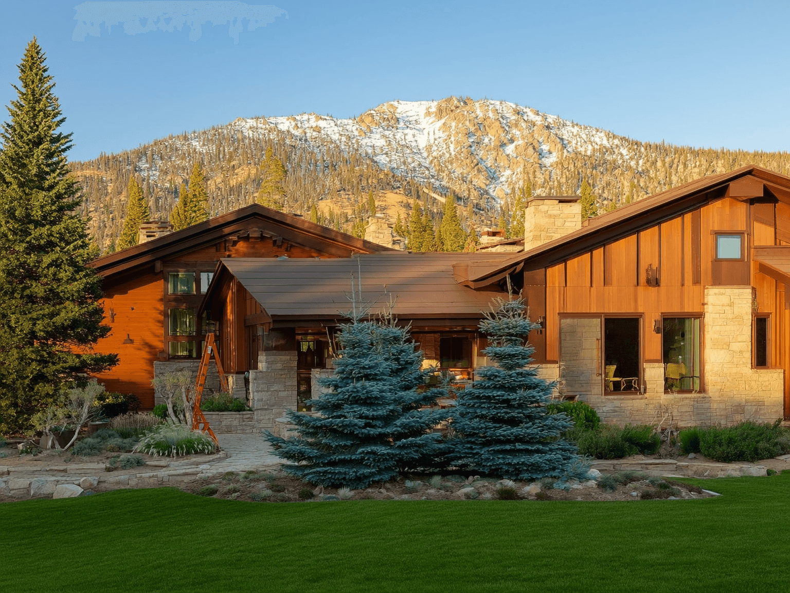 Healthy aspens and blue spruce in front of a Park City mountain home